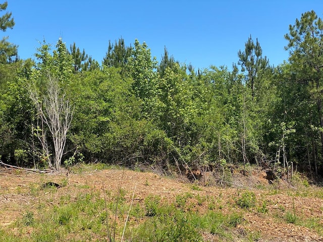 0 Ga Highway 0026, Buena Vista, GA 31803