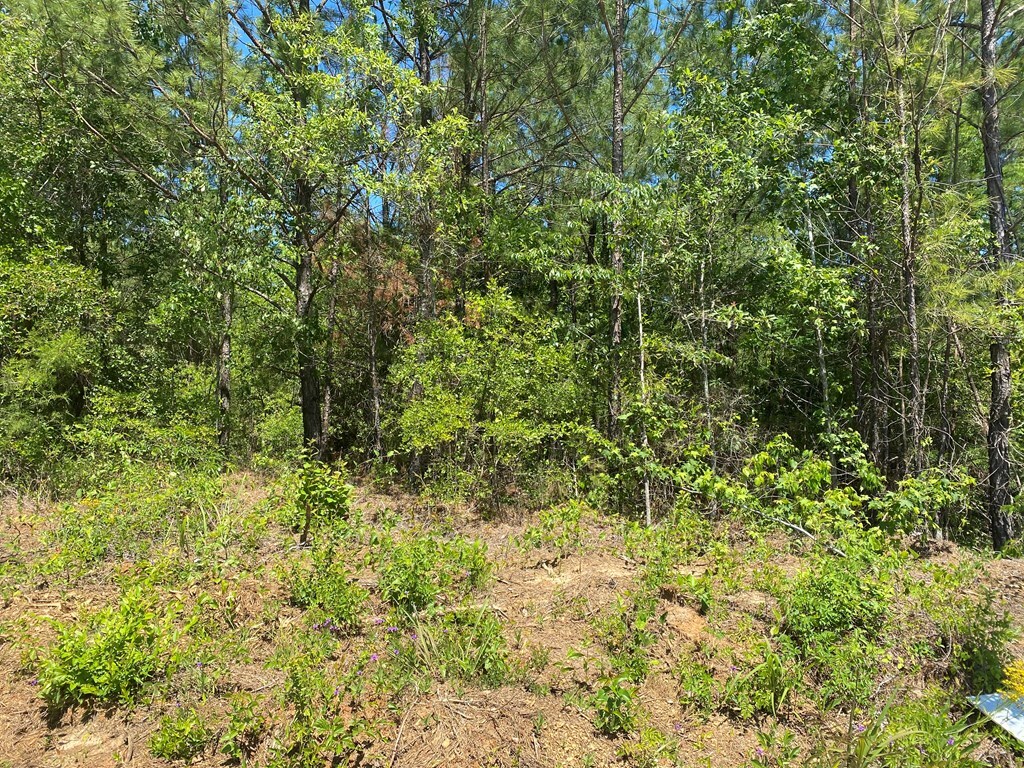 0 Ga Highway 0026, Buena Vista, GA 31803