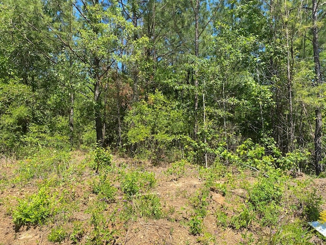 0 Ga Highway 0026, Buena Vista, GA 31803