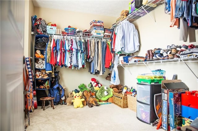 93 Pebble Ct, Smiths Station, AL 36877 - spacious closet featuring carpet floors