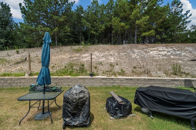6368 Sandy Bottom Dr, Columbus, GA 31907 - view of yard