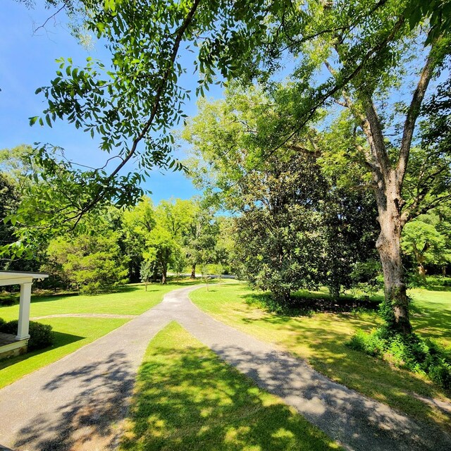 surrounding community featuring a lawn