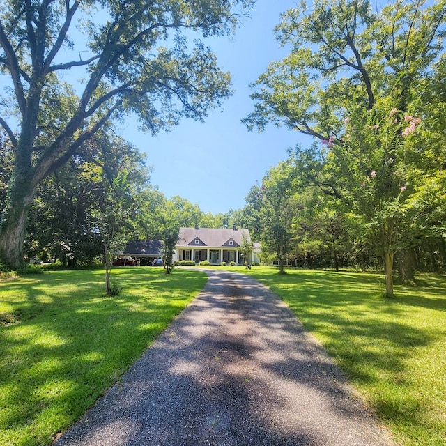 view of front of home with a front yard