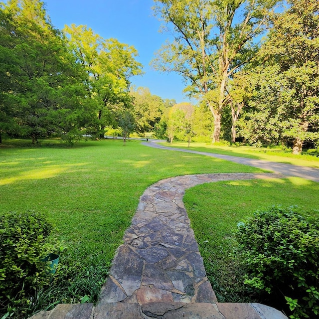 view of community with a lawn