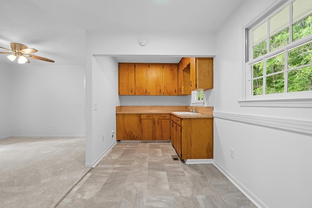 kitchen featuring ceiling fan, sink, and light colored carpet