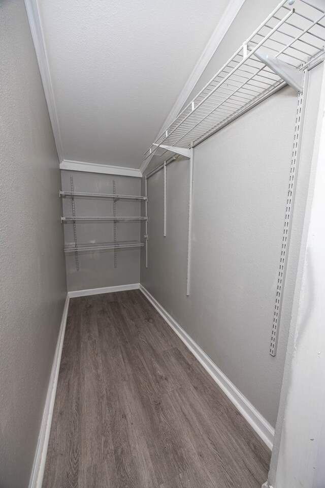 646 Byrd Ave, Smiths Station, AL 36877 - spacious closet featuring dark wood-style floors