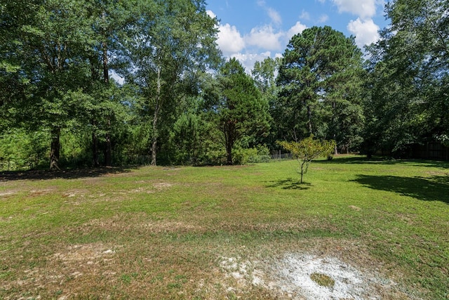 766 Lee Road 0553, Phenix City, AL 36870 - view of green lawn