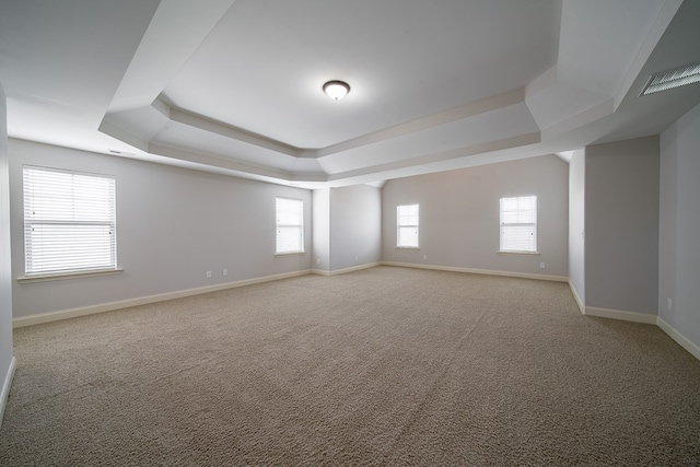 carpeted spare room featuring a raised ceiling