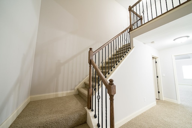 stairway featuring carpet floors