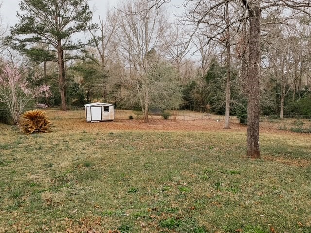 view of yard featuring an outbuilding and a shed