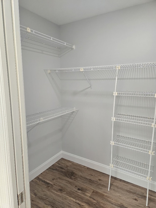 4044 Castlewood Pkwy, Columbus, GA 31907 - walk in closet featuring dark wood-style floors