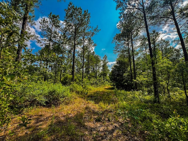 12AC Liberty Rd, Mauk, GA 31058