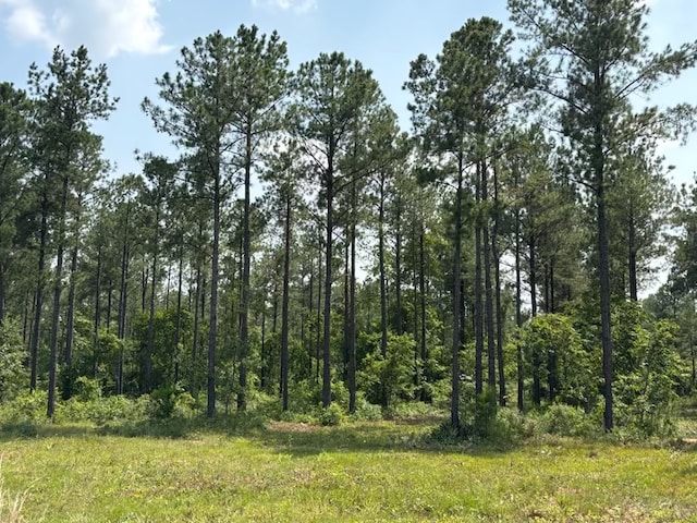 12AC Liberty Rd, Mauk, GA 31058