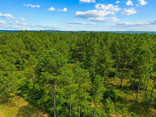 12AC Liberty Rd, Mauk, GA 31058