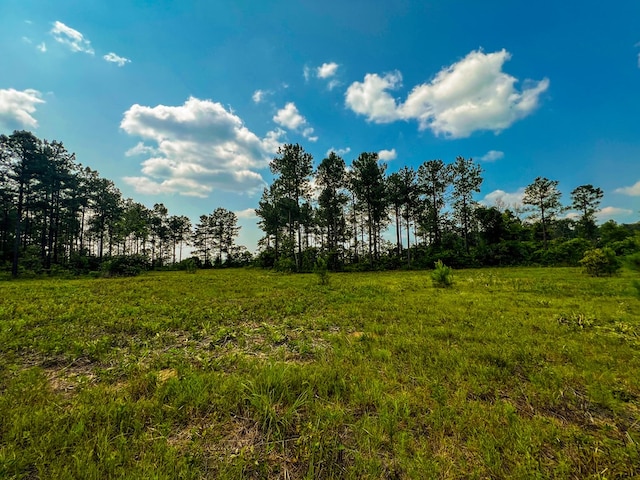 12AC Liberty Rd, Mauk, GA 31058