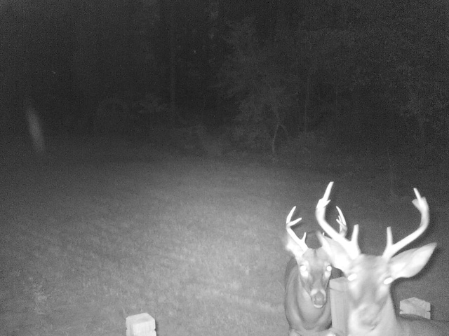 12AC Liberty Rd, Mauk, GA 31058