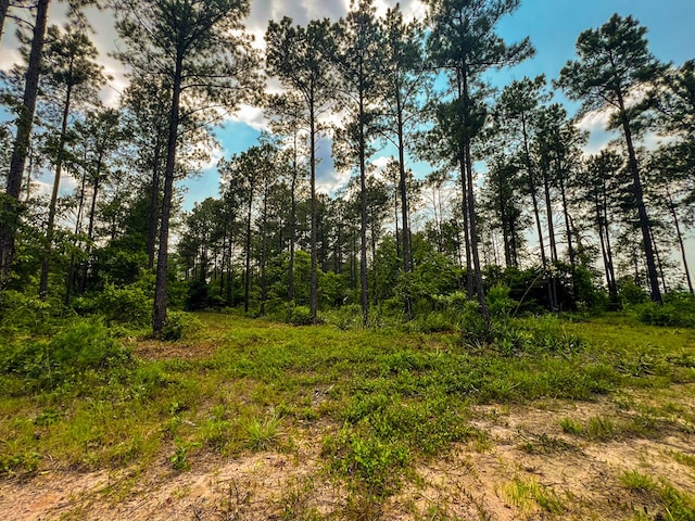 12AC Liberty Rd, Mauk, GA 31058