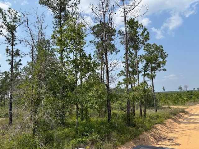 12AC Liberty Rd, Mauk, GA 31058