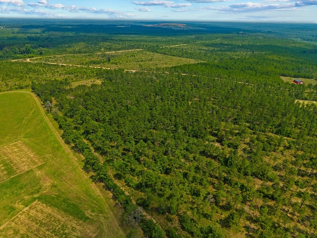 12AC Liberty Rd, Mauk, GA 31058