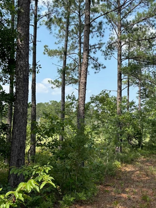 12AC Liberty Rd, Mauk, GA 31058