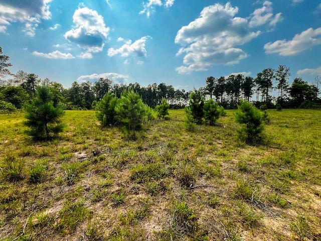12AC Liberty Rd, Mauk, GA 31058