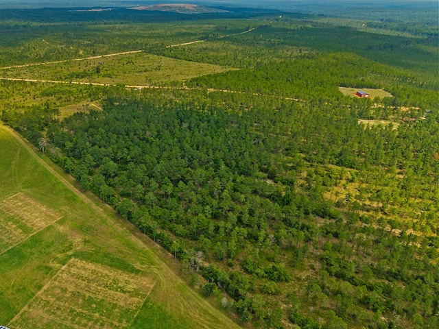 12AC Liberty Rd, Mauk, GA 31058