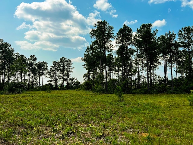 12AC Liberty Rd, Mauk, GA 31058