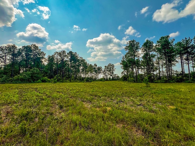 12AC Liberty Rd, Mauk, GA 31058