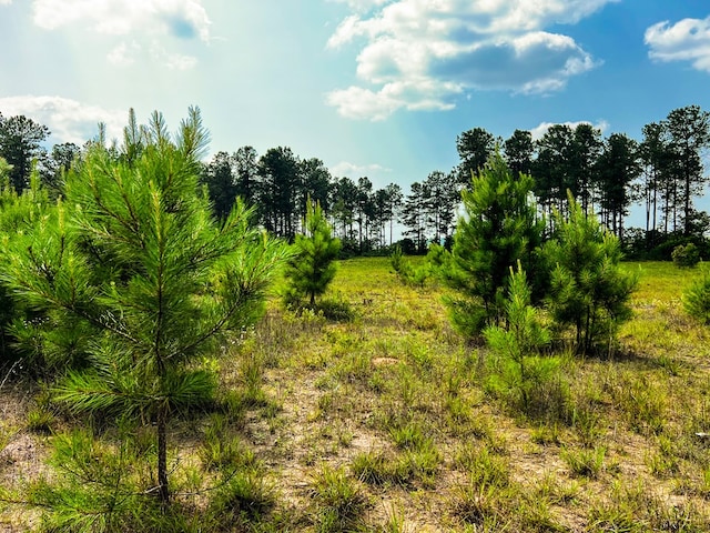 12AC Liberty Rd, Mauk, GA 31058