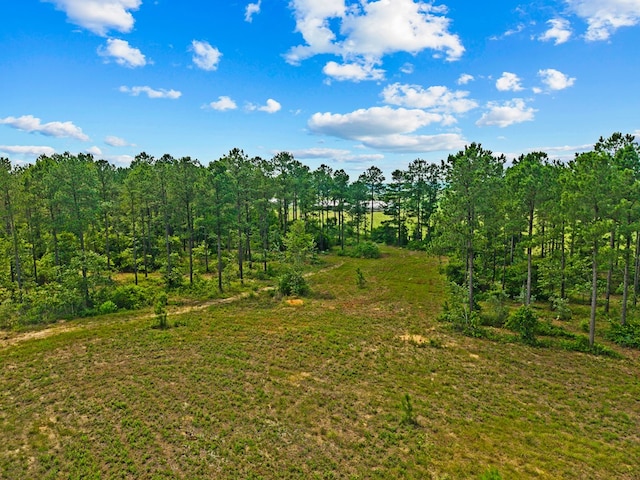 12AC Liberty Rd, Mauk, GA 31058
