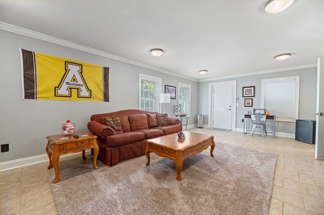 living room with crown molding