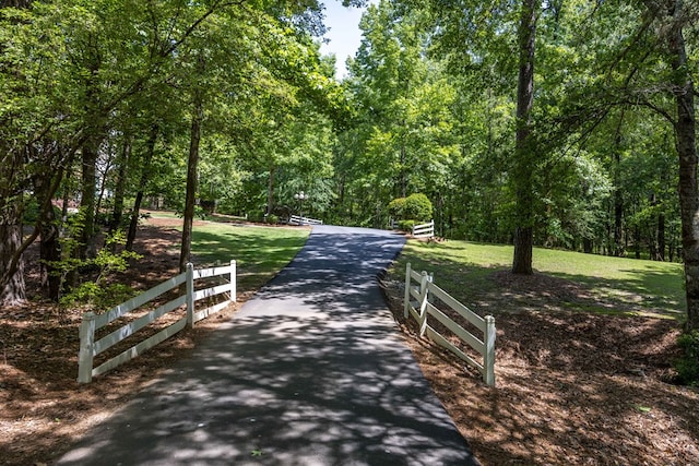 12225 County Line Rd, Midland, GA 31820 - surrounding community featuring a wooded view and a lawn