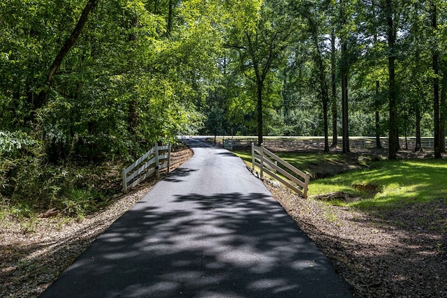 12225 County Line Rd, Midland, GA 31820 - view of street featuring a view of trees