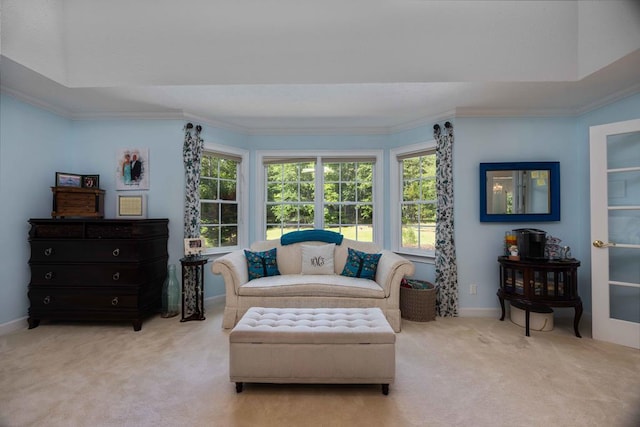 12225 County Line Rd, Midland, GA 31820 - living area with carpet, plenty of natural light, ornamental molding, and baseboards