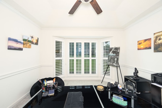 4524 Hedingham Ln, Columbus, GA 31907 - workout room with a ceiling fan, ornamental molding, carpet, and a wainscoted wall