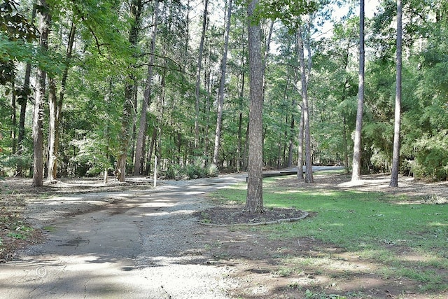 view of road