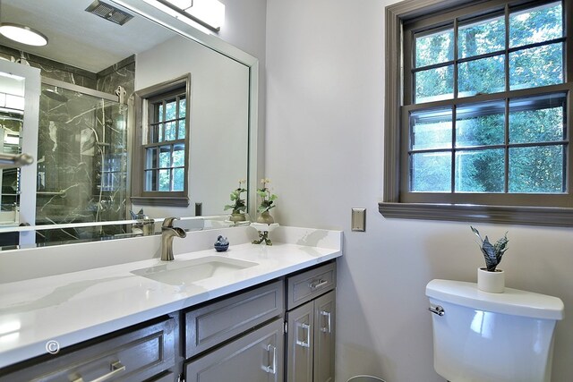 bathroom with vanity, toilet, and a shower with shower door