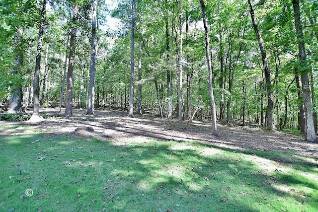 1237 Smith Rd, Fortson, GA 31808 - view of grassy yard featuring a wooded view