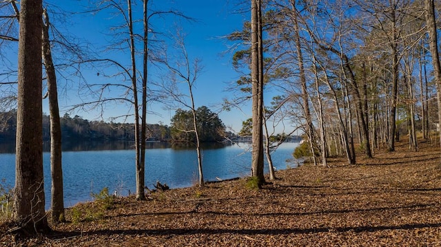 LOT2 Hinton Dr, Hamilton GA, 31811 land for sale