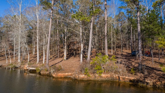 Listing photo 2 for LOT2 Hinton Dr, Hamilton GA 31811