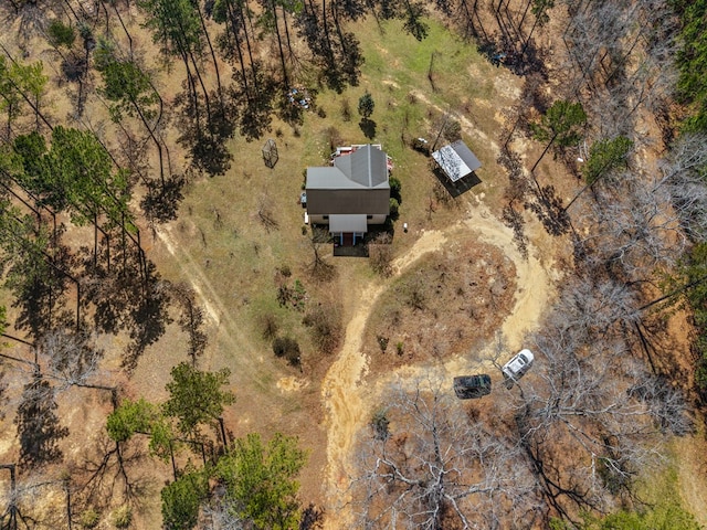 125 Brady Rd, Buena Vista, GA 31803 - aerial view