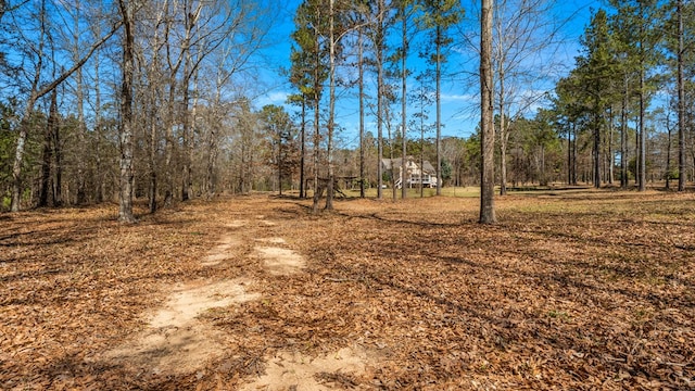 125 Brady Rd, Buena Vista, GA 31803 - view of yard featuring a wooded view