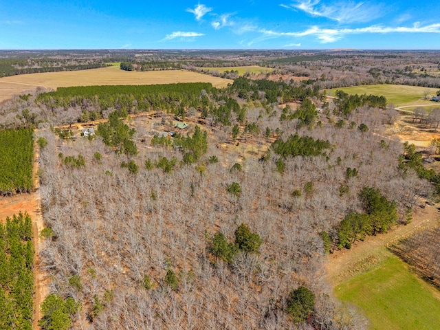 125 Brady Rd, Buena Vista, GA 31803 - birds eye view of property with a rural view