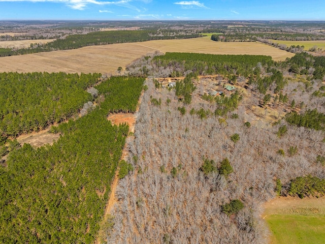 125 Brady Rd, Buena Vista, GA 31803 - bird's eye view with a rural view