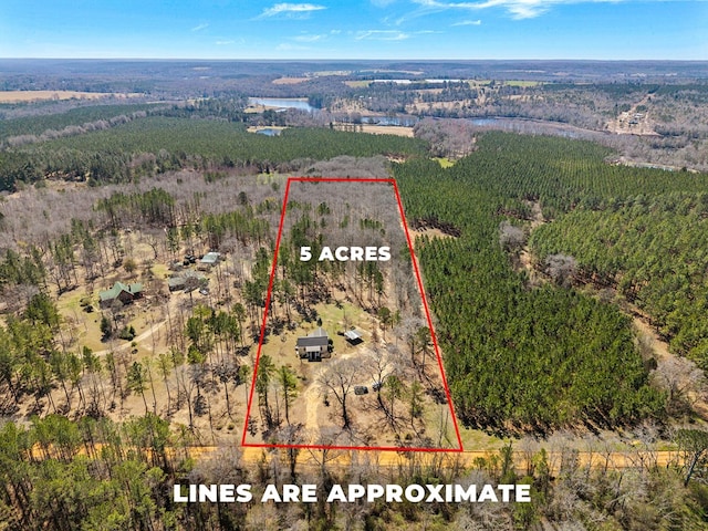 125 Brady Rd, Buena Vista, GA 31803 - drone / aerial view featuring a wooded view