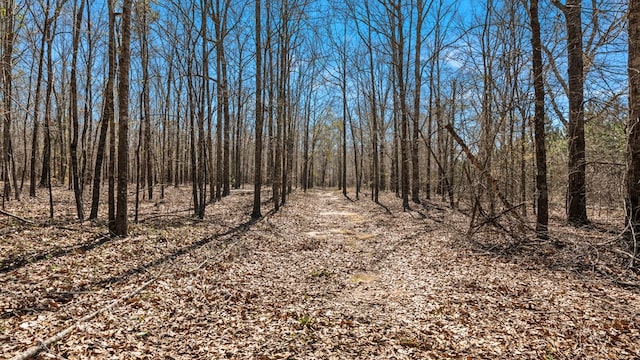 125 Brady Rd, Buena Vista, GA 31803 - view of local wilderness