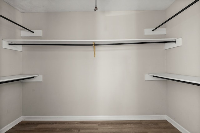 spacious closet featuring dark wood-type flooring