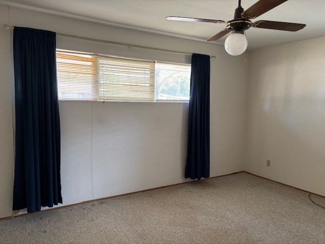 carpeted spare room featuring ceiling fan