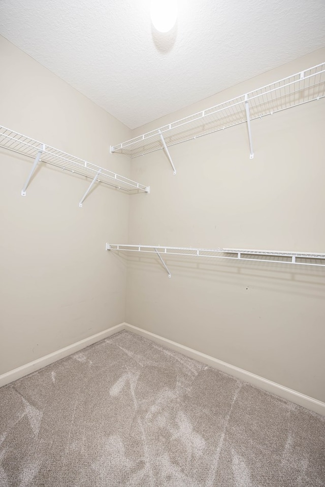 spacious closet with carpet