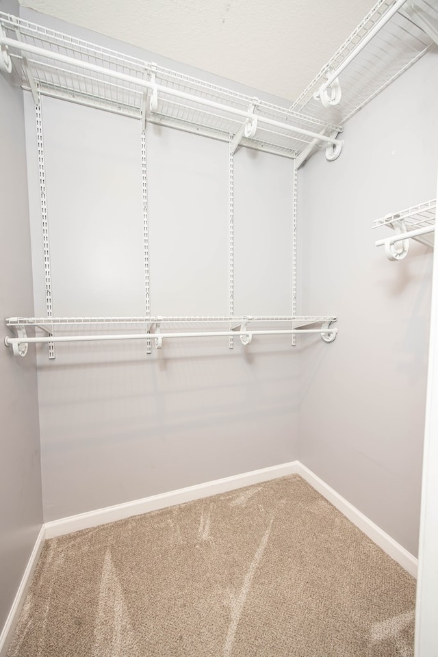 spacious closet with carpet